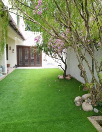 Residential Grass Carpet